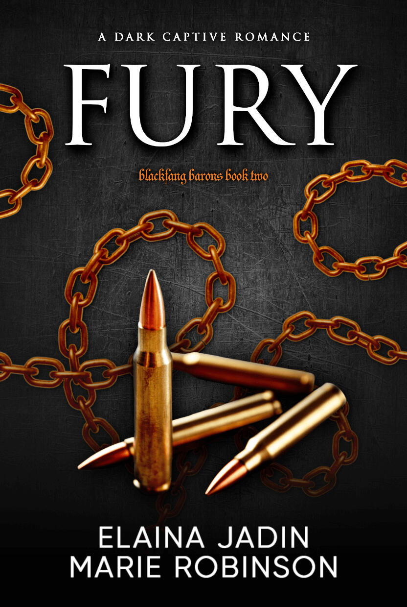 FURY A Reverse Harem Dark Romance